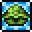 Pet Turtle