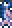 Flying Fish Banner