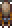 Wall Creeper Banner