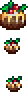 Christmas Pudding