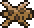 Leopard Skin