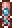 Martian Officer Banner