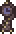 Lesion Clock