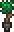 Potted Forest Tree