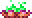 Coral Campfire