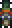 Librarian Skeleton Banner