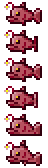 Angler Fish