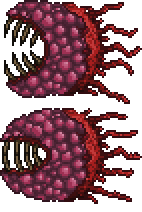 Wall of Flesh