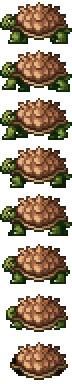 Giant Tortoise