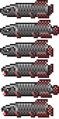 Arapaima