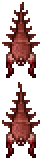 Crimera