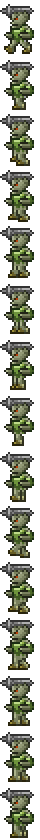 Skeleton