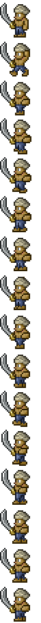 Pirate Corsair