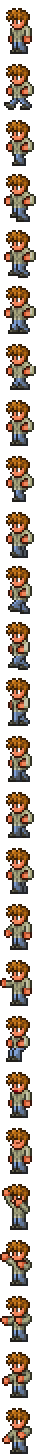 Guide