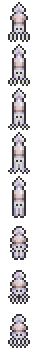 Squid