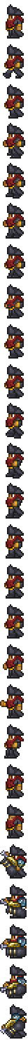 Pirate