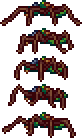 Jungle Creeper