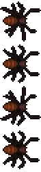 Black Recluse