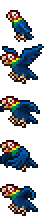 Parrot