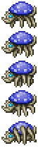 Anomura Fungus