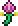 Spore