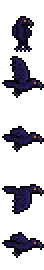 Raven