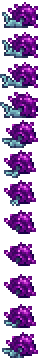 Giant Shelly