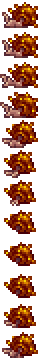 Giant Shelly