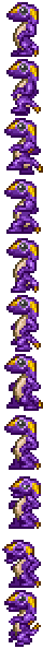 Salamander