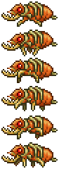 Giant Antlion Charger