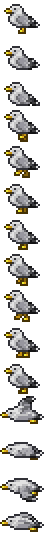 Seagull