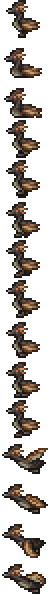 Grebe