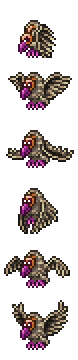 Vulture