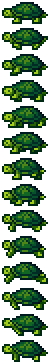 Jungle Turtle