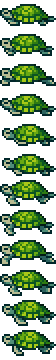 Sea Turtle