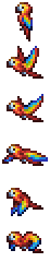 Scarlet Macaw