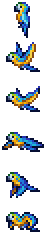 Blue Macaw