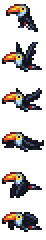 Toucan