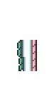 Wyvern