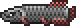 Arapaima