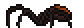Black Recluse