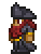 Pirate