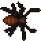 Black Recluse