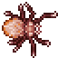 Blood Crawler