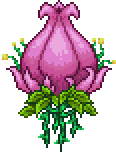 Plantera