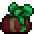 Slime