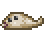 Alien Larva