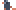 Rat