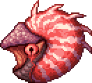 Dreadnautilus