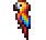 Scarlet Macaw